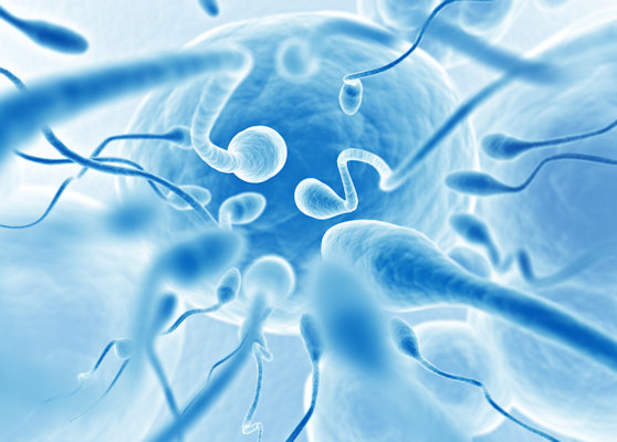 Réaliser votre spermogramme