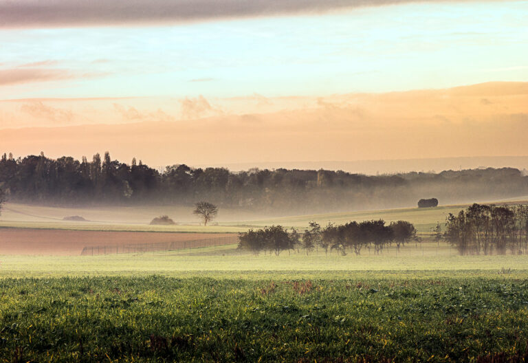 Les Laboratoires en Picardie